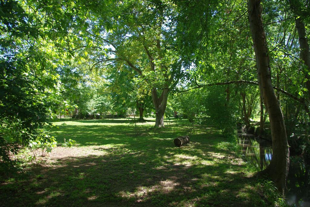 Willa Moulin De Coupigny Fontenille-Saint-Martin-d'Entraigues Pokój zdjęcie