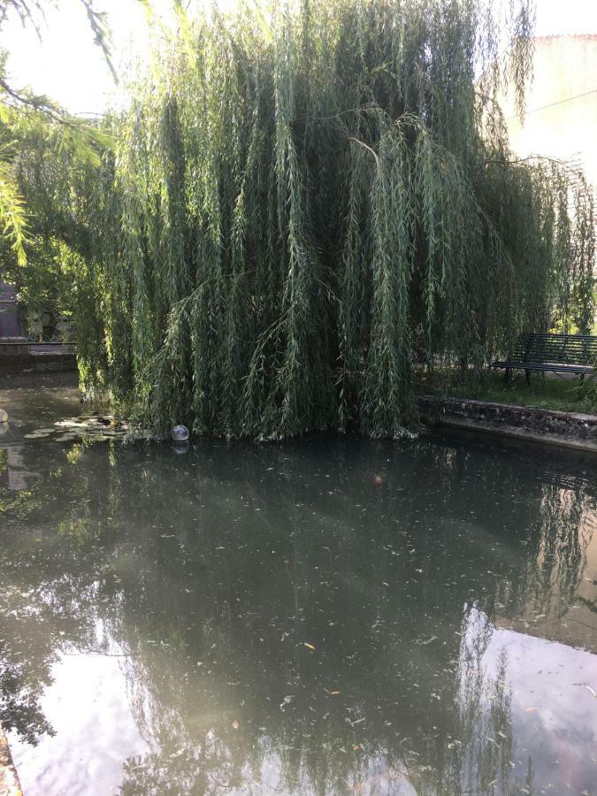 Willa Moulin De Coupigny Fontenille-Saint-Martin-d'Entraigues Zewnętrze zdjęcie